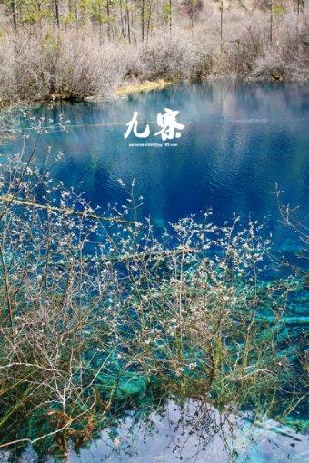 长春分局丨开展违法违规行为集中治理行动