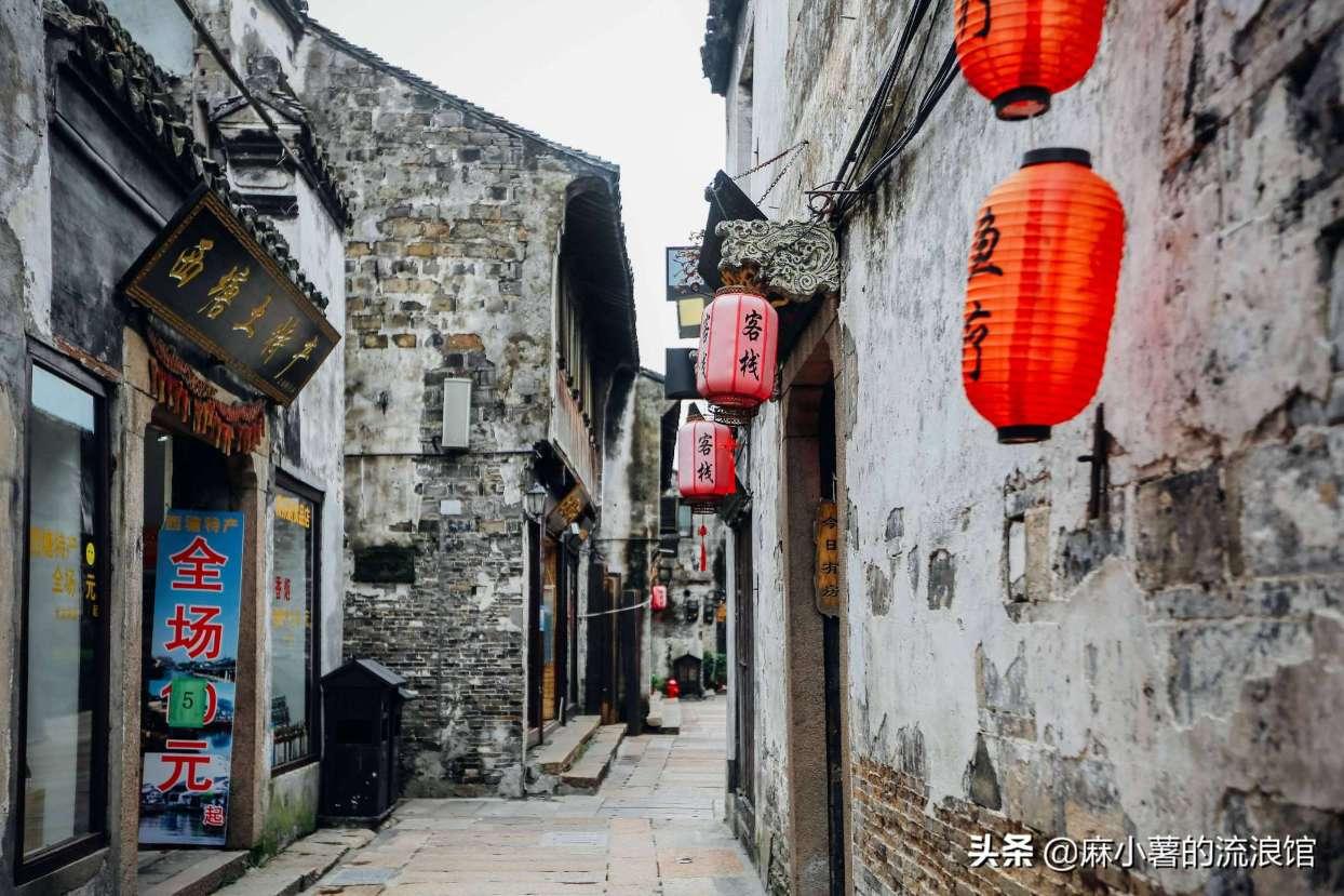 保护僵尸火种