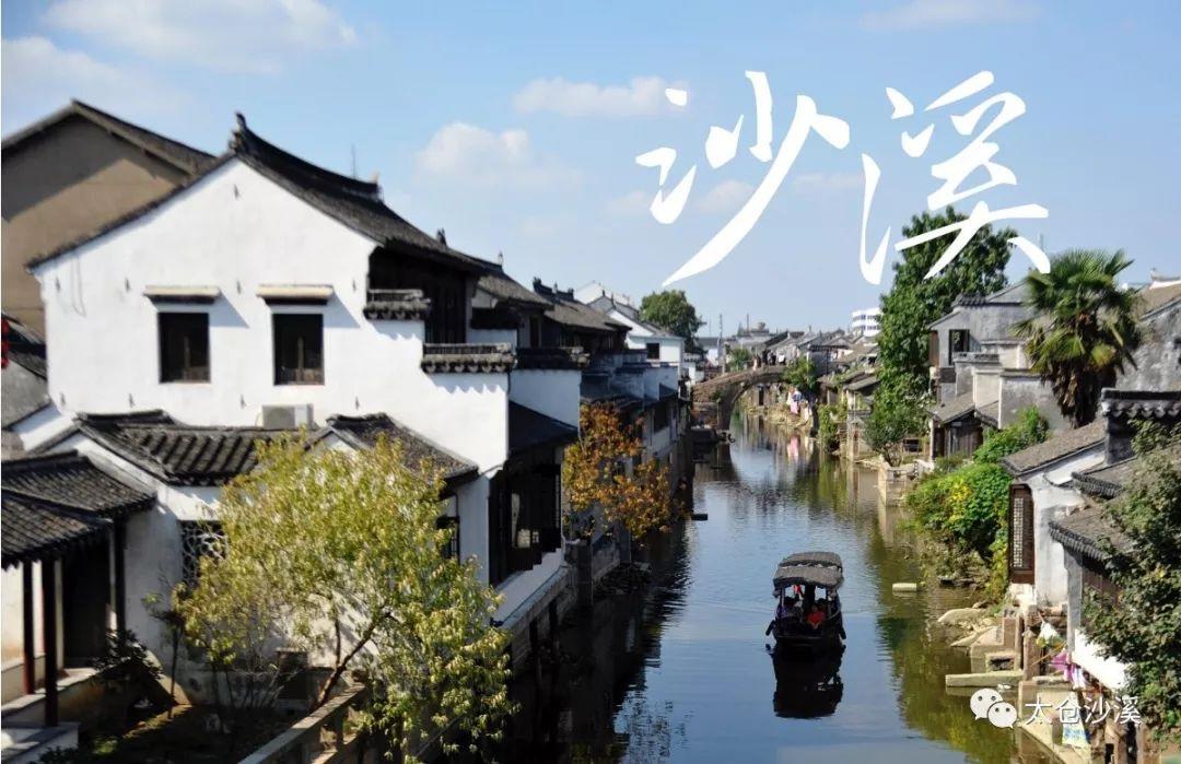 营救小猫头鹰